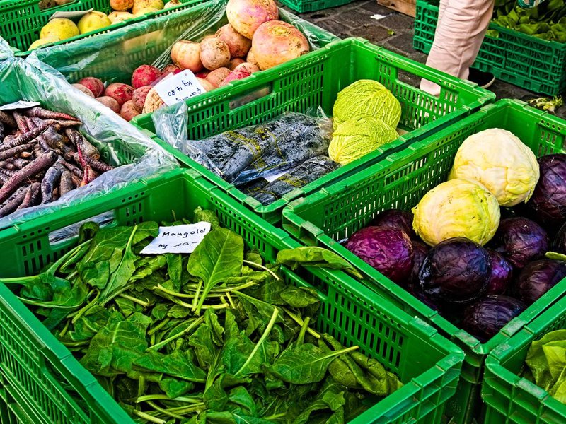 北京食品批发行业动态：市场趋势与消费热点