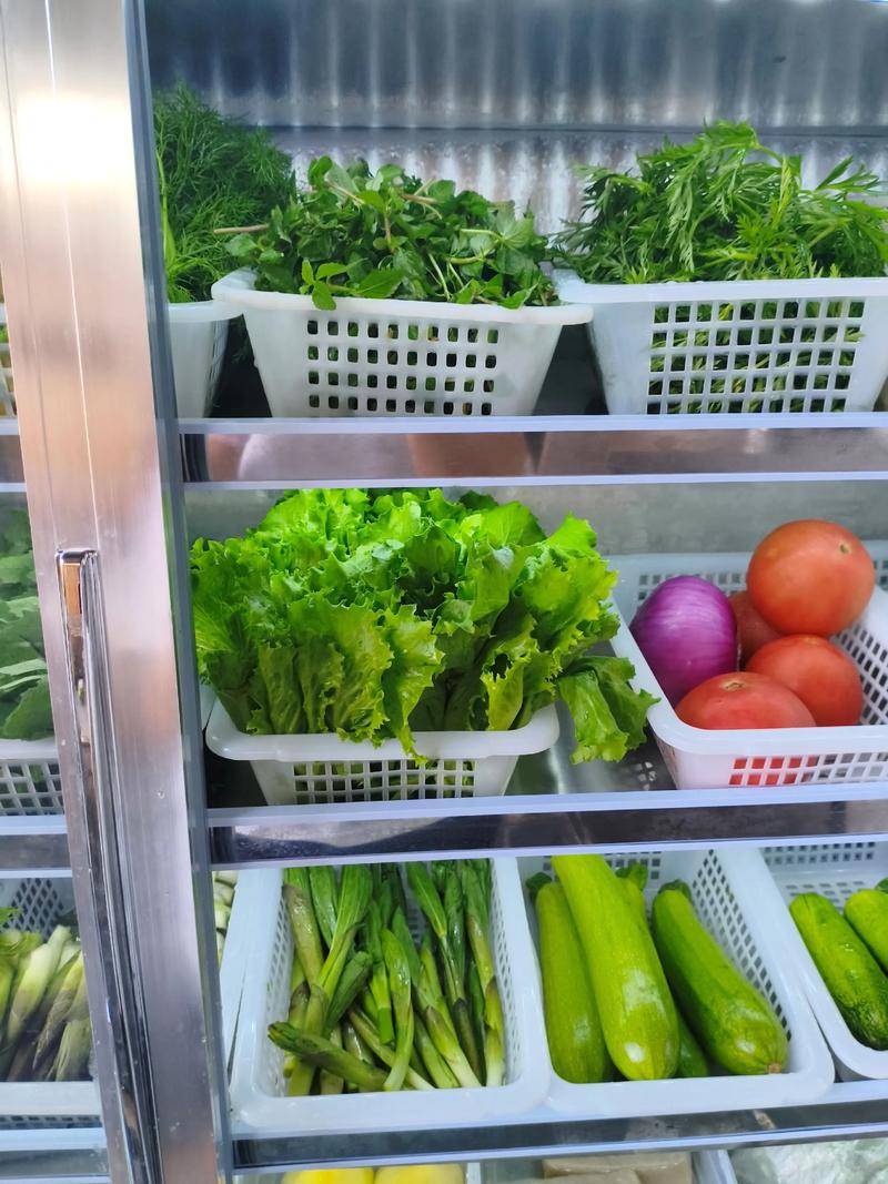 食品商贸行业的风向标:洞察市场新趋势